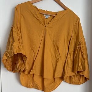 Sundance Golden Ruffle Sleeve Blouse